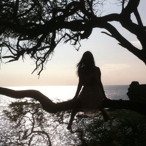 Monkeypods Productions